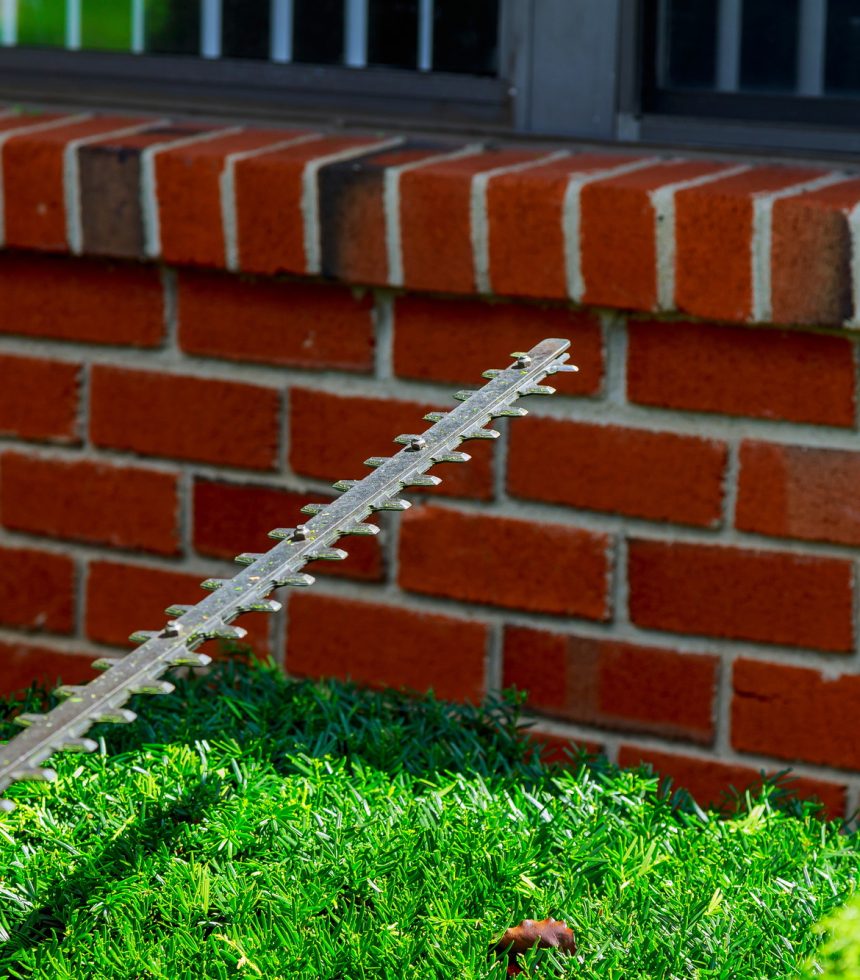 Hedge trimming, works in a garden
