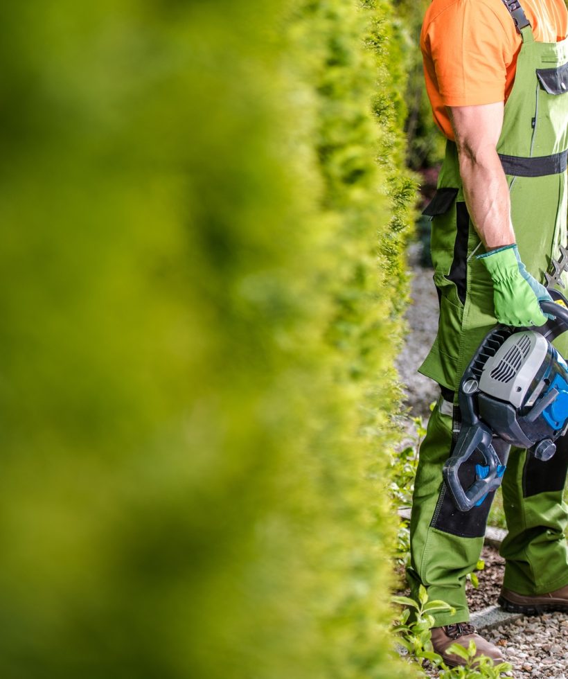 Seasonal Garden Trimming